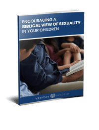 biblical sexuality 3D