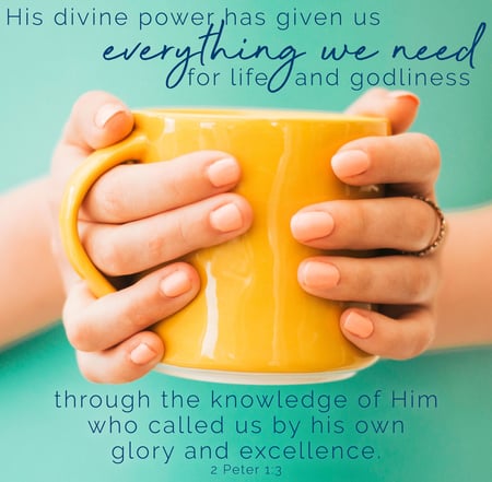 his divine power has given us everything we need for life and godliness